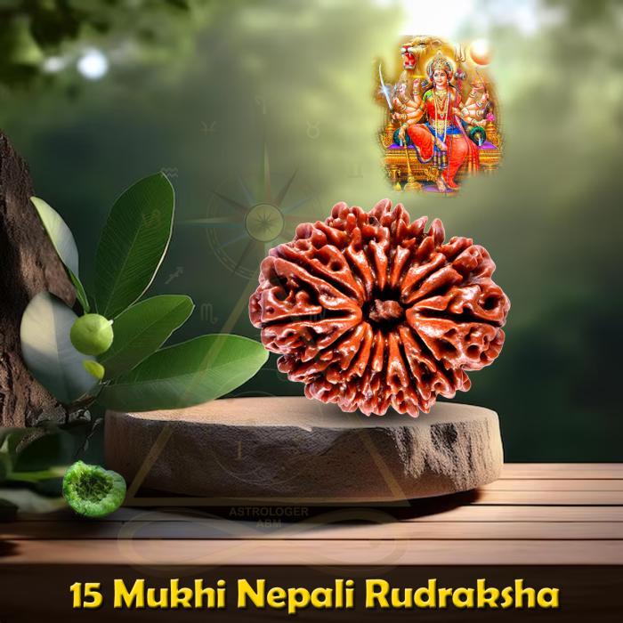 Nine Face Rudraksha / 9 मुखी रुद्राक्ष